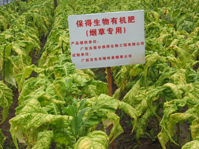 生物肥料--可持续发展型烟草农业(图)