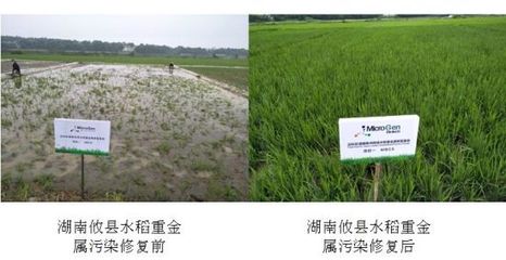首家中国企业获福布斯颁发农业科技奖